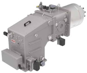 DB LSE FGR 油气两用系列（电子比调   NOx < 30 mg/kWh）